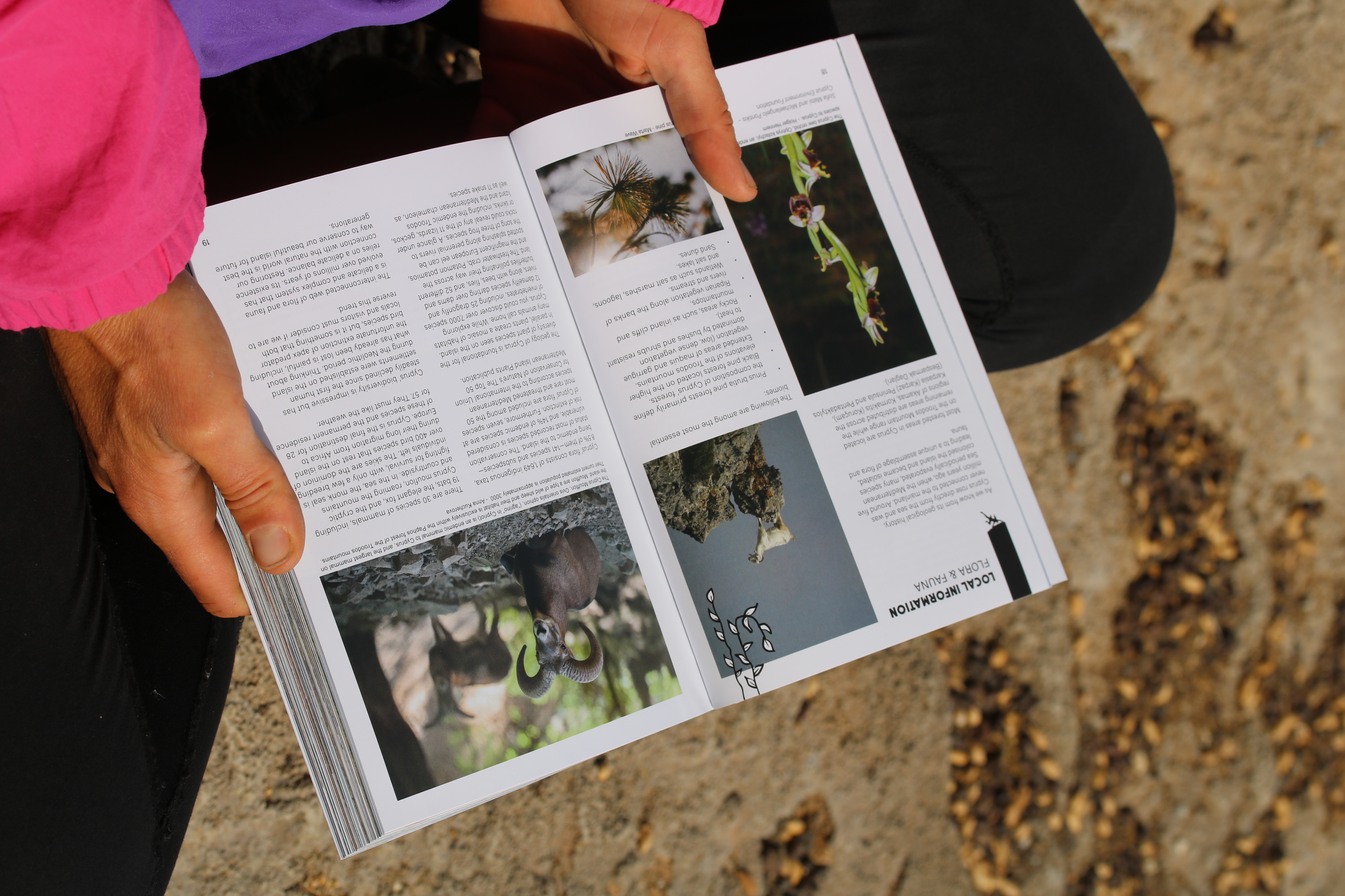 Guidebook page view